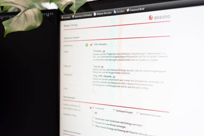 assono Passwort-Safe Pro (HCL Notes): assono Passwort-Safe Pro (HCL Notes): Passwörter sicher und einfach verwalten